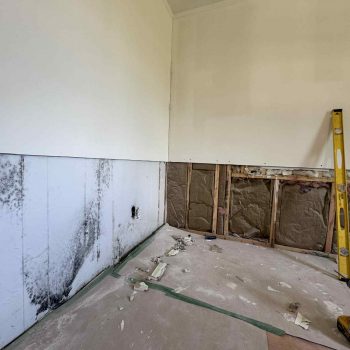 att.fFqZxeo8P7vibduoQwaeeEjCBBUBSUB6SaQIig6h23g