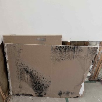 att.nLss42JXEfsNYU51QxMYdaXGiQ_Pnz-Ix4b0hUucYOA